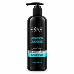 Aq Cool Mint Shp 500ml